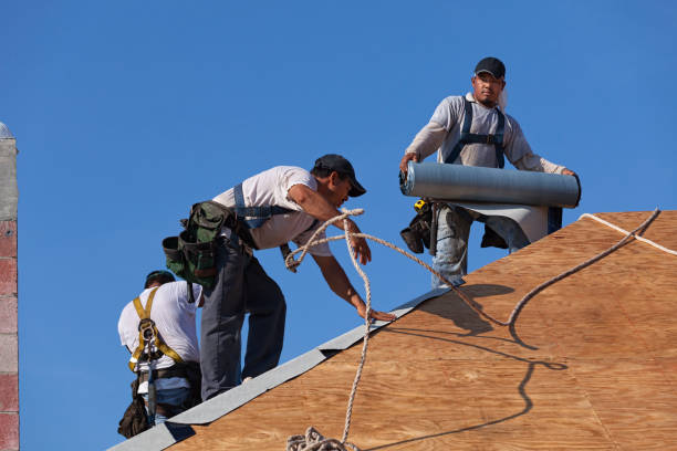 Best Residential Roof Replacement  in USA